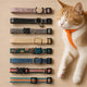 Various styles of cat collars placed beside a cat wearing an orange collar, with a DerooPy Pet camera collar displayed separately.