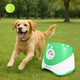 Excited Labrador retriever chasing a ball next to Deroopypet automatic dog ball launcher in a park setting.