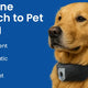 Humane Dog Training: How Smart Collars Reinforce Behavior Safely - Deroopy Pet