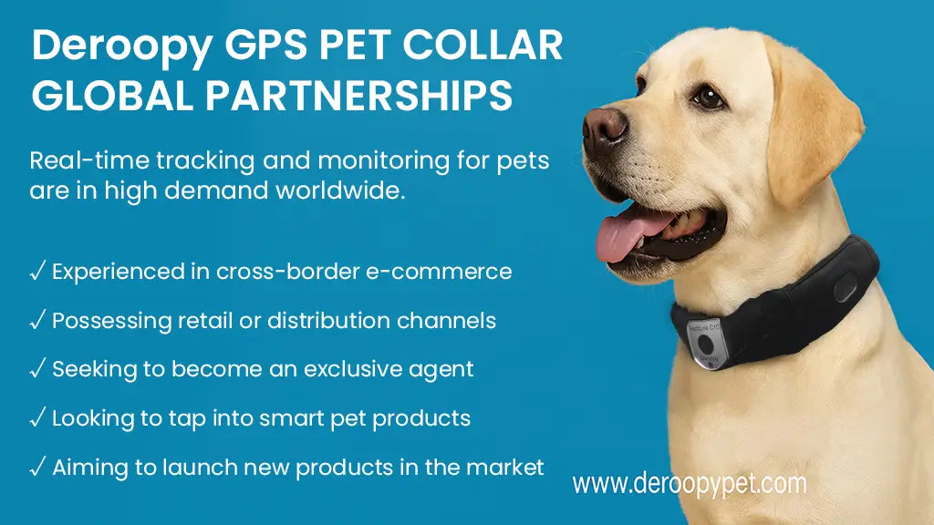 Labrador dog wearing a GPS pet collar by Deroopy, promoting global partnerships for real-time pet tracking and monitoring.