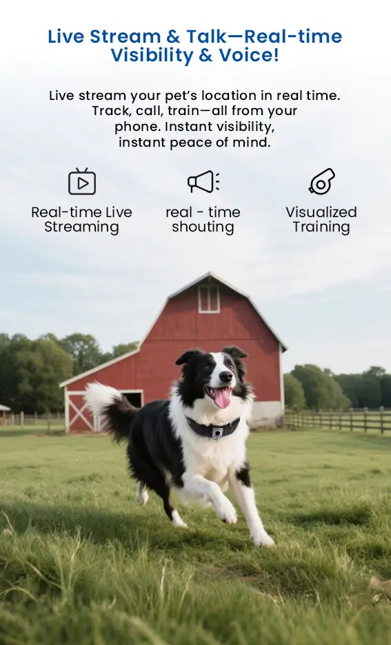 Dog with smart collar running near a red barn, showcasing real-time live stream and voice training features.