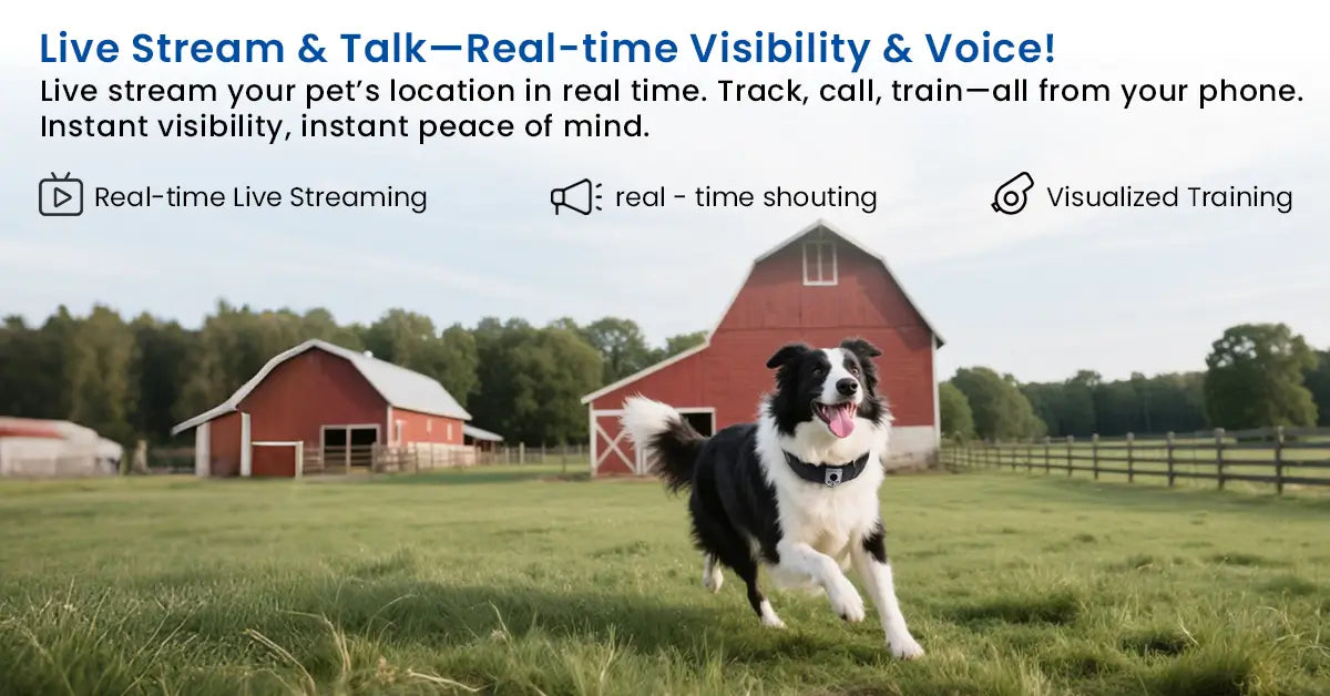 Dog with smart collar running near a red barn, showcasing real-time live stream and voice training features.