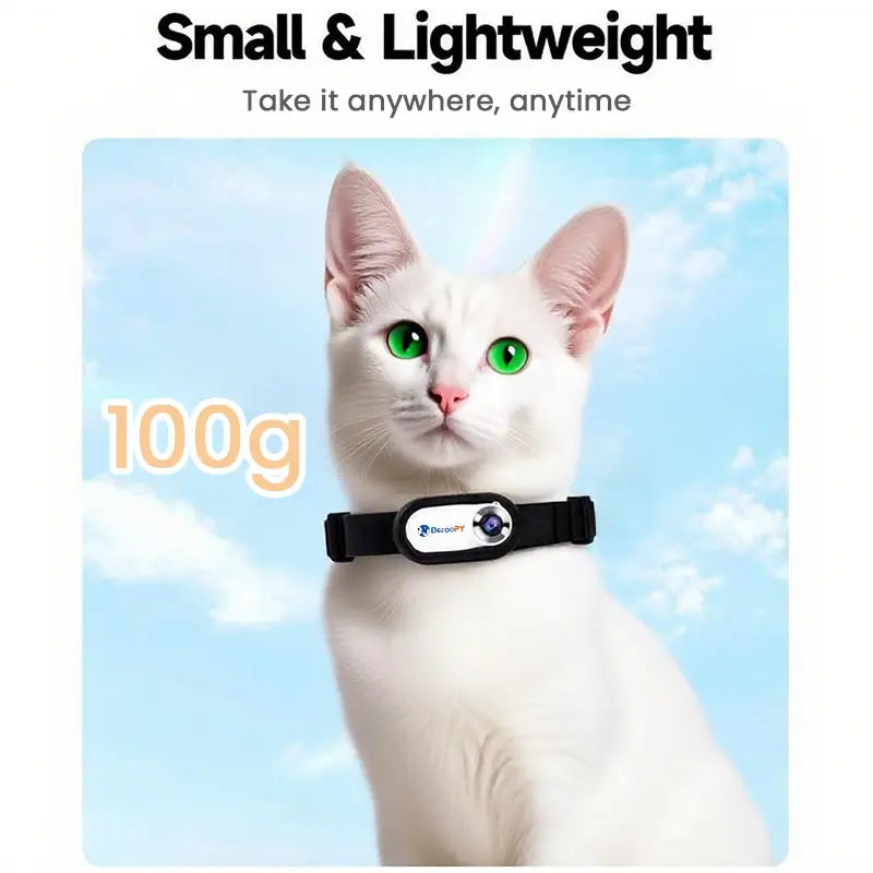 Lightweight cat camera collar with only 100g weight, worn by white cat with green eyes