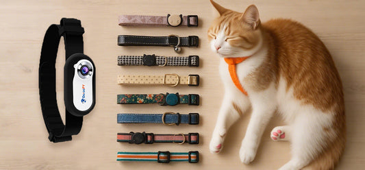 Various styles of cat collars placed beside a cat wearing an orange collar, with a DerooPy Pet camera collar displayed separately.