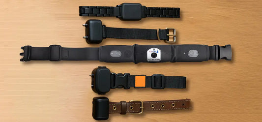 Comparison of Deroopy GPS Pet Collar with other popular dog training collars on a wooden surface