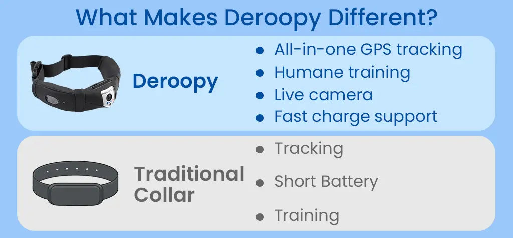 What Makes Deroopy Different? The Smart Dog Collar Designed for Real Life - Deroopy Pet