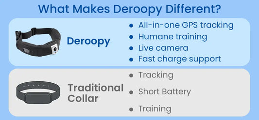 What Makes Deroopy Different? The Smart Dog Collar Designed for Real Life - Deroopy Pet