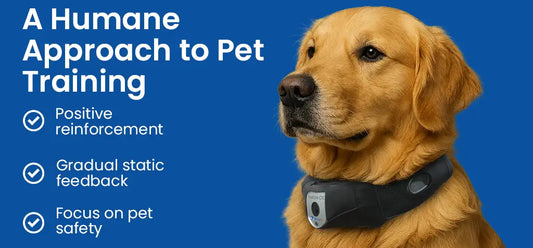 Humane Dog Training: How Smart Collars Reinforce Behavior Safely - Deroopy Pet