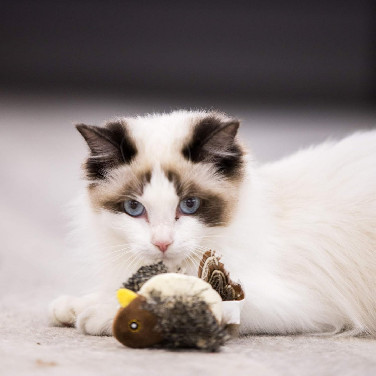 Smart Flying Bird Toy for Cats – Interactive Motion Feather Teaser Keeps Indoor Cats Active & Happy