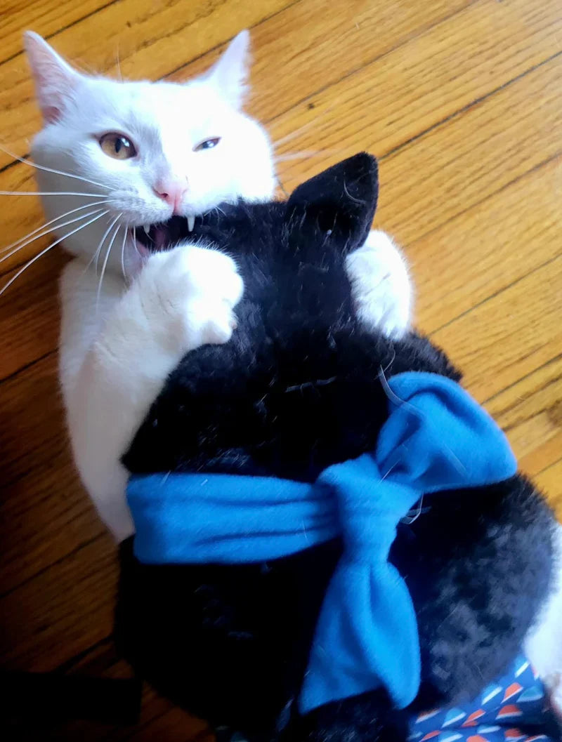 Unleash the Fun: Interactive Cat Gloves for Endless Playtime & Bonding!