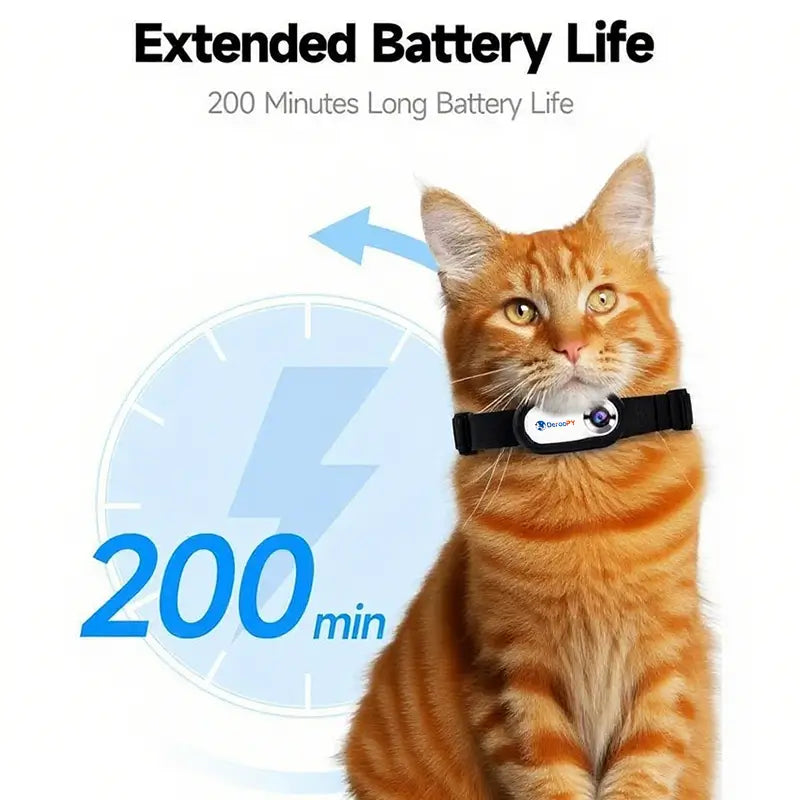 Orange tabby cat wearing a pet camera collar with 200 minutes long battery life