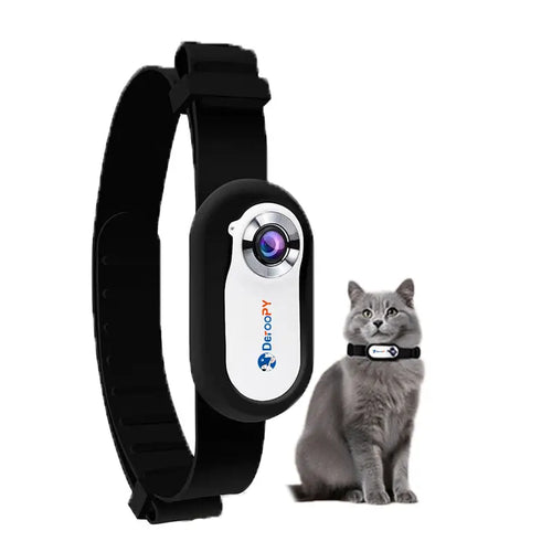Smart cat collar with HD camera and adjustable strap, worn by a gray cat