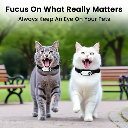Two cats running in the park wearing smart collars with built-in cameras for live tracking