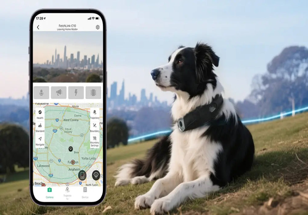 Smart GPS dog collar with custom electronic fence feature, allowing pet owners to set geofencing boundaries and receive alerts when pets leave safe zones.
