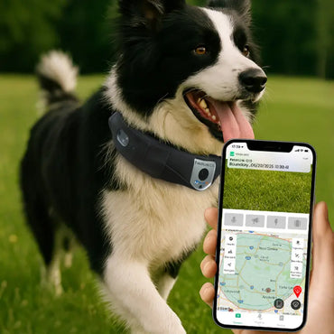 Deroopy smart dog collar with GPS tracking and real-time app monitoring in outdoor park setting
