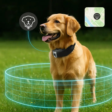 Golden Retriever wearing a Deroopy smart collar with virtual fence feature, showing geofence boundary and live location tracking on map.

