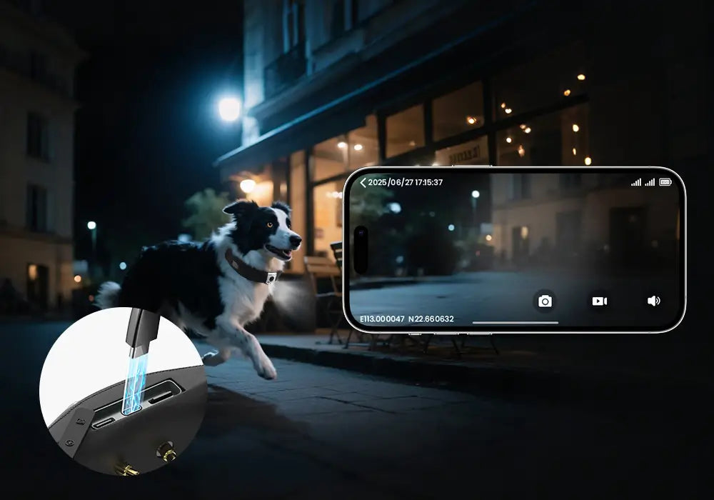 Smart GPS pet collar with night vision camera for real-time tracking and live video monitoring of dogs at night.
