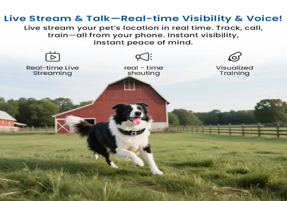Deroopy Smart Pet Collar with 2K Camera, GPS Tracker & Voice Training – Real-Time Monitoring & Night Vision - Deroopy Pet