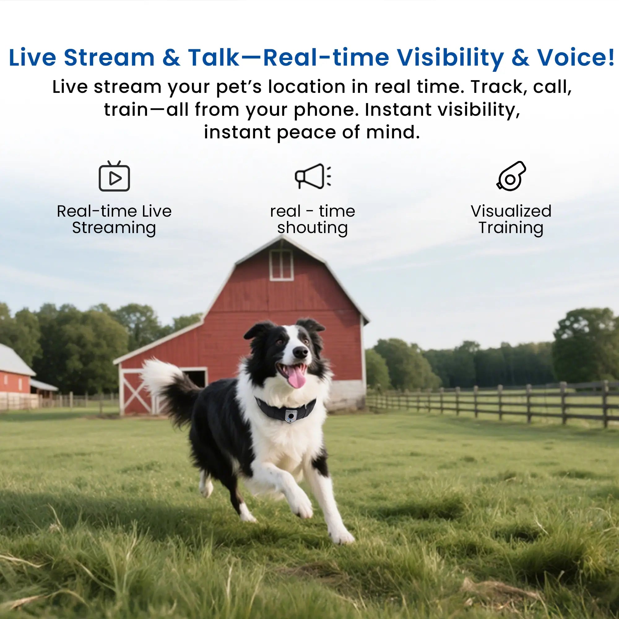 Deroopy smart dog collar with real-time live streaming and voice talk feature, showing a happy dog running near a red barn