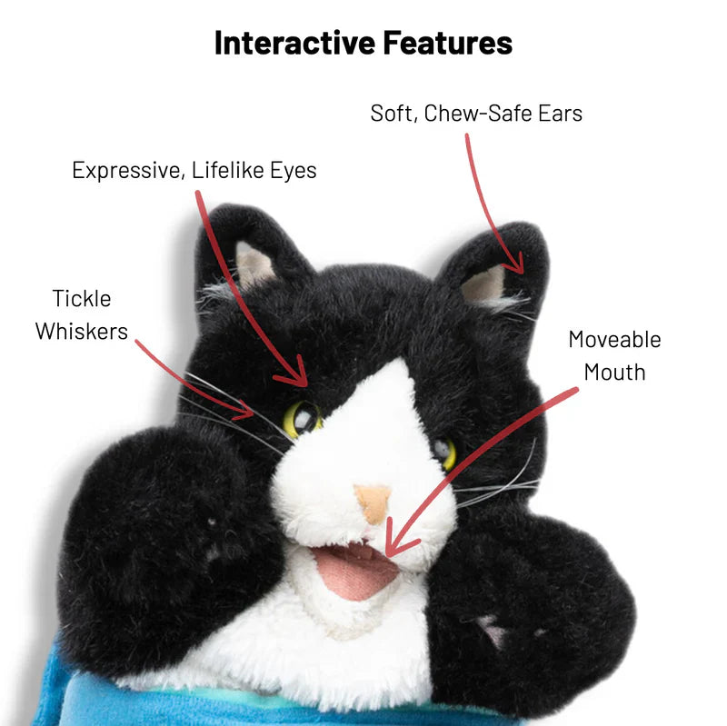 Unleash the Fun: Interactive Cat Gloves for Endless Playtime & Bonding!